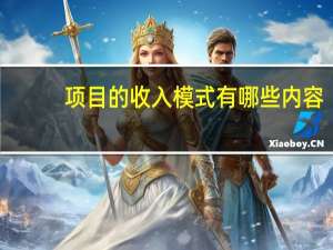项目的收入模式有哪些内容
