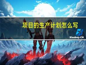 项目的生产计划怎么写