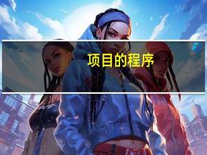 项目的程序