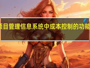项目管理信息系统中成本控制的功能不包括()。
