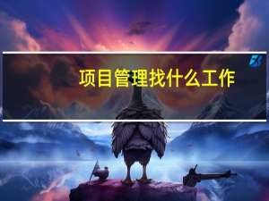 项目管理找什么工作