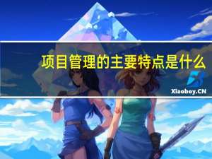 项目管理的主要特点是什么