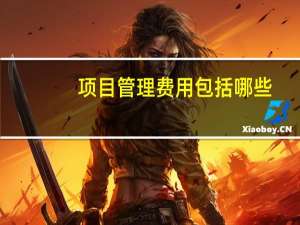 项目管理费用包括哪些（项目管理费用包括哪些内容）