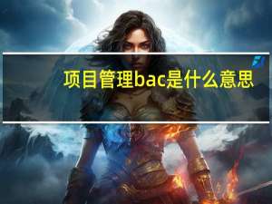 项目管理bac是什么意思