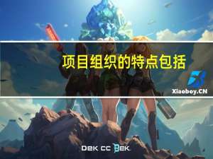 项目组织的特点包括