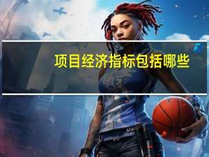 项目经济指标包括哪些