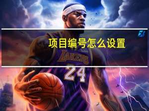 项目编号怎么设置（项目编号）