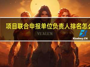 项目联合申报单位负责人排名怎么写