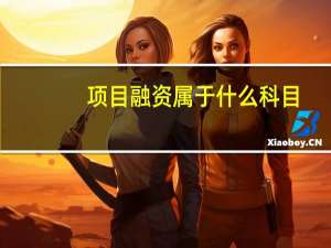 项目融资属于什么科目
