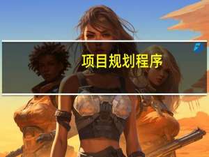 项目规划程序