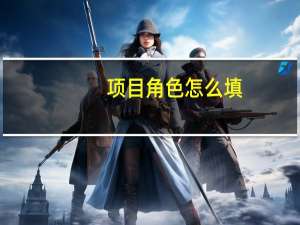 项目角色怎么填