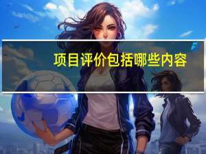 项目评价包括哪些内容（项目评价）