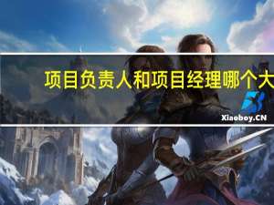 项目负责人和项目经理哪个大（项目经理和项目负责人的区别）