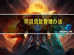 项目贷款管理办法（项目贷款）