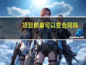 项目部章可以签合同吗