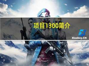 项目1 300简介