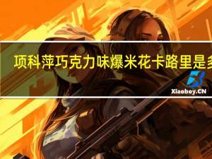 项科萍 巧克力味爆米花卡路里是多少