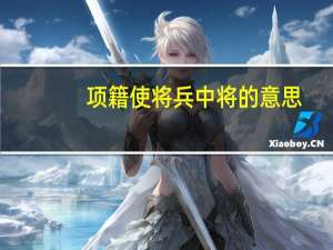 项籍使将兵中将的意思