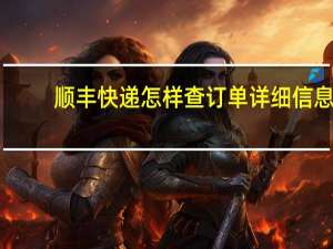 顺丰快递怎样查订单详细信息