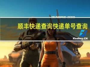 顺丰快递查询快递单号查询（品骏快递单号查询单号）