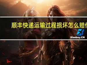 顺丰快递运输过程损坏怎么赔偿