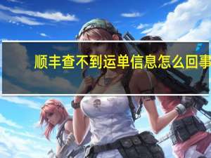 顺丰查不到运单信息怎么回事