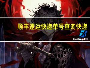 顺丰速运快递单号查询快递（顺丰速运快递单查询）