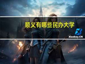 顺义有哪些民办大学