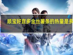 顺宝 好宜多 金丝薯条的热量是多少