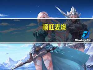 顺旺 麦烧(香辣味)的热量是多少