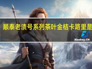 顺泰 老渍号系列 茶叶金桔卡路里是多少