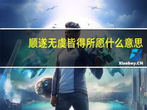 顺遂无虞 皆得所愿什么意思（顺遂无虞 皆得所愿）