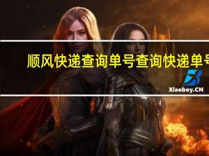 顺风快递查询单号查询快递单号（顺风快递查询单号）