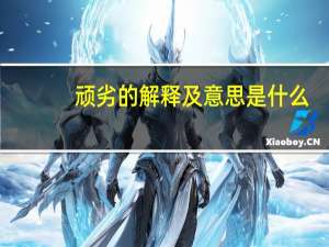 顽劣的解释及意思是什么