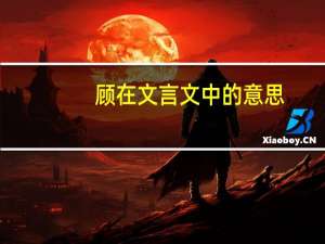 顾在文言文中的意思