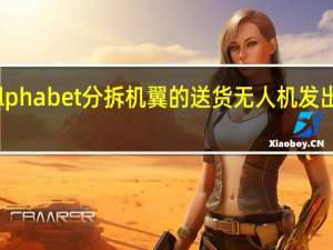 顾客们将Alphabet分拆机翼的送货无人机发出的噪音比作电锯