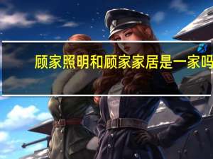 顾家照明和顾家家居是一家吗