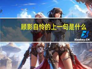 顾影自怜的上一句是什么
