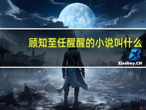 顾知至任醒醒的小说叫什么