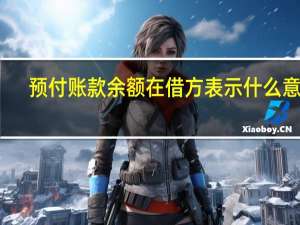 预付账款余额在借方表示什么意思