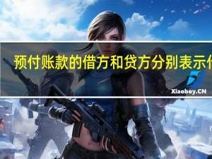 预付账款的借方和贷方分别表示什么（预付账款借贷方表示什么）