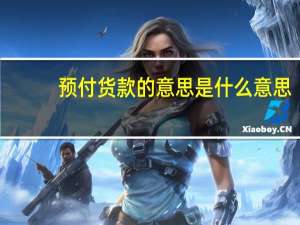 预付货款的意思是什么意思