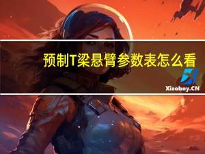 预制T梁悬臂参数表怎么看