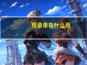 预录单有什么用