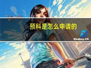 预科是怎么申请的