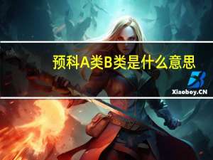 预科A类B类是什么意思