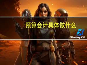 预算会计具体做什么