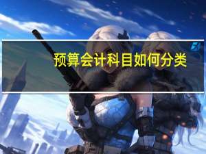 预算会计科目如何分类