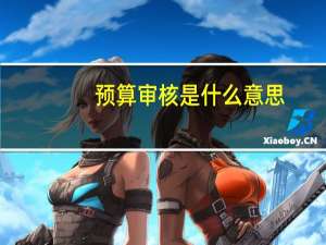 预算审核是什么意思