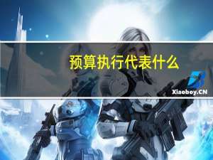 预算执行代表什么